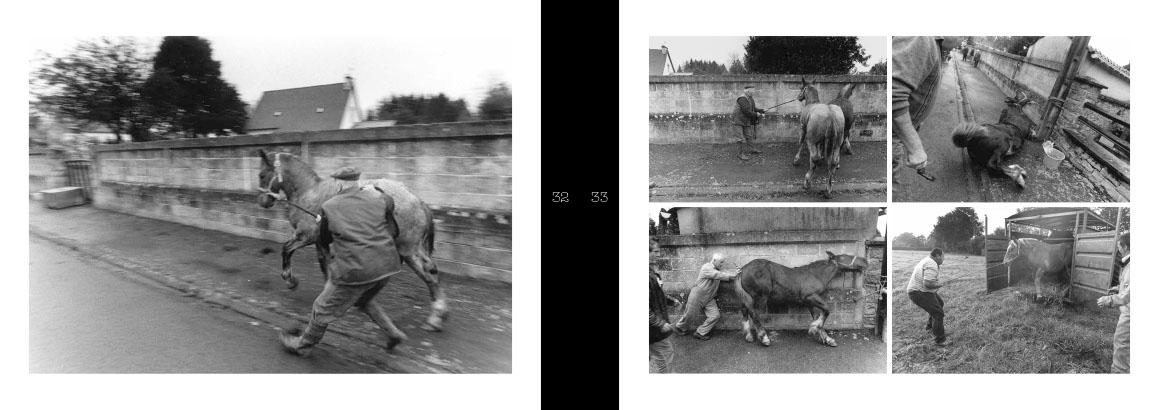 Beau livre : Le Cheval breton