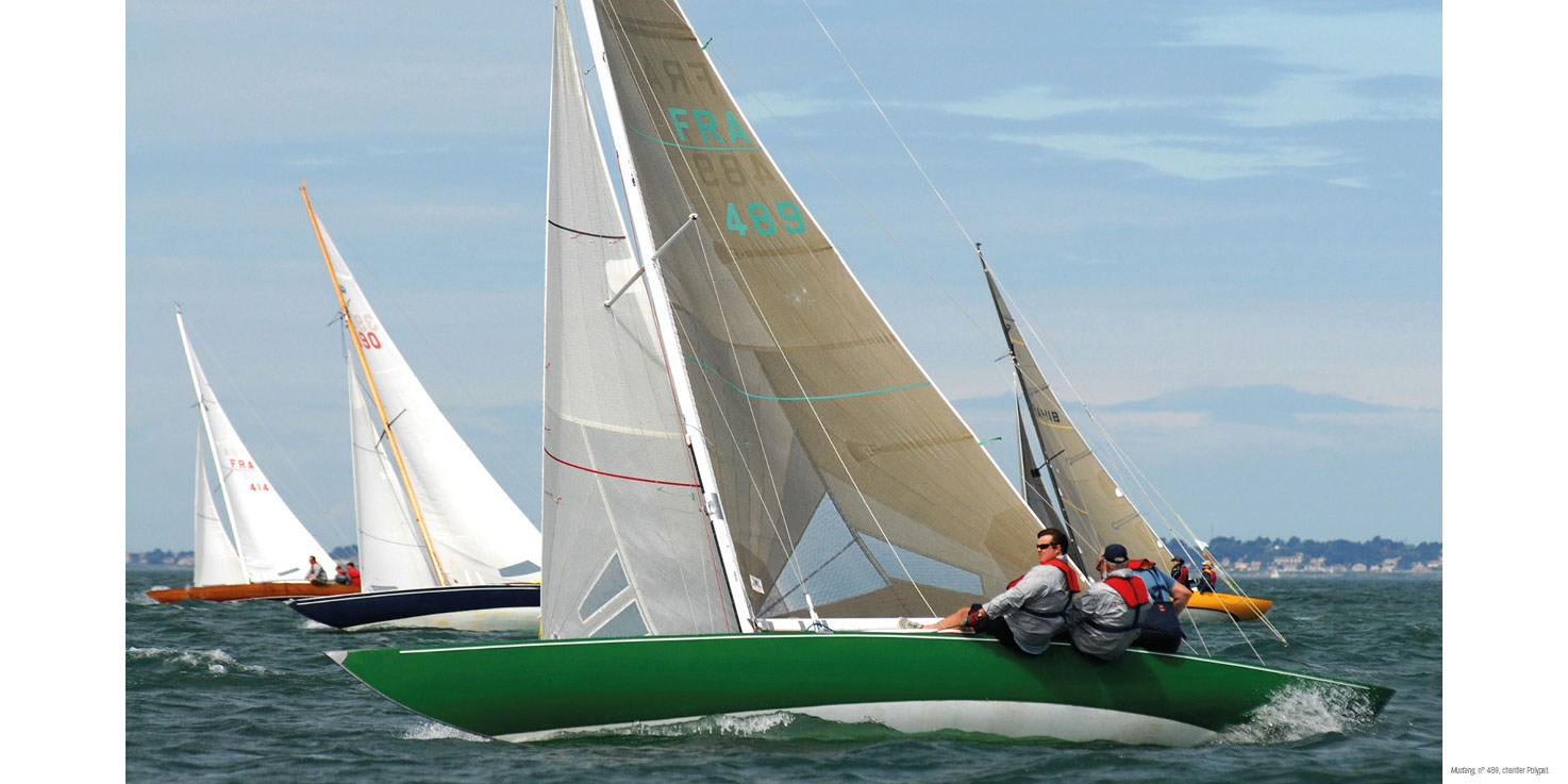 Beau livre : Le Requin