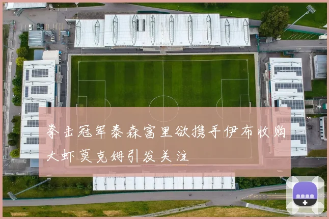 拳击冠军泰森富里欲携手伊布收购大虾莫克姆引发关注