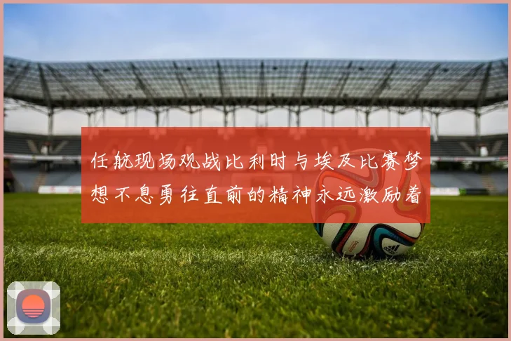 任航现场观战比利时与埃及比赛梦想不息勇往直前的精神永远激励着我们